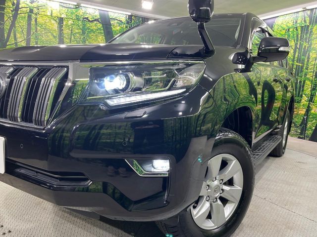 TOYOTA LANDCRUISER PRADO 2019