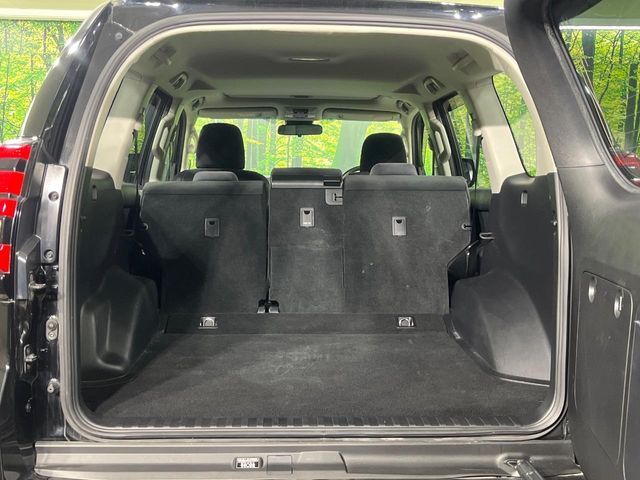 TOYOTA LANDCRUISER PRADO 2019