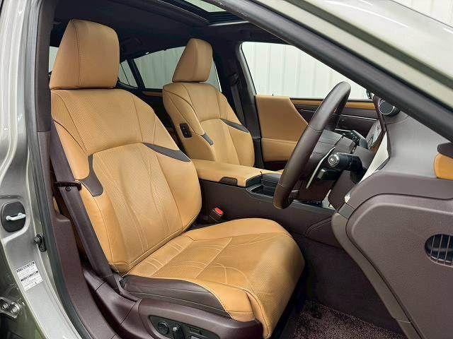 TOYOTA LEXUS ES300h 2019