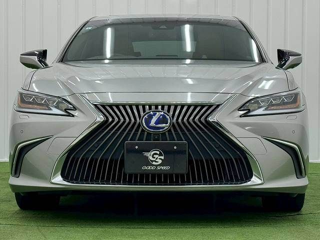 TOYOTA LEXUS ES300h 2019