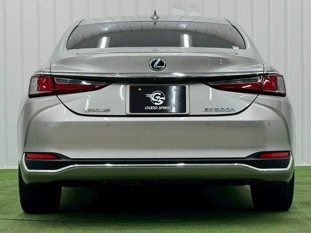 TOYOTA LEXUS ES300h 2019