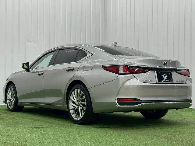 TOYOTA LEXUS ES300h 2019