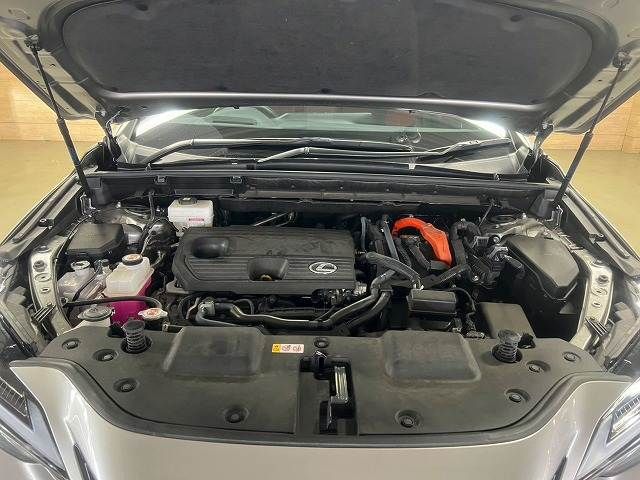 TOYOTA LEXUS NX350h AWD 2023