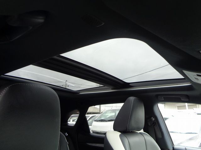 TOYOTA LEXUS RX300 2019