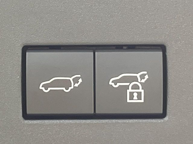 TOYOTA LANDCRUISER 250 2024