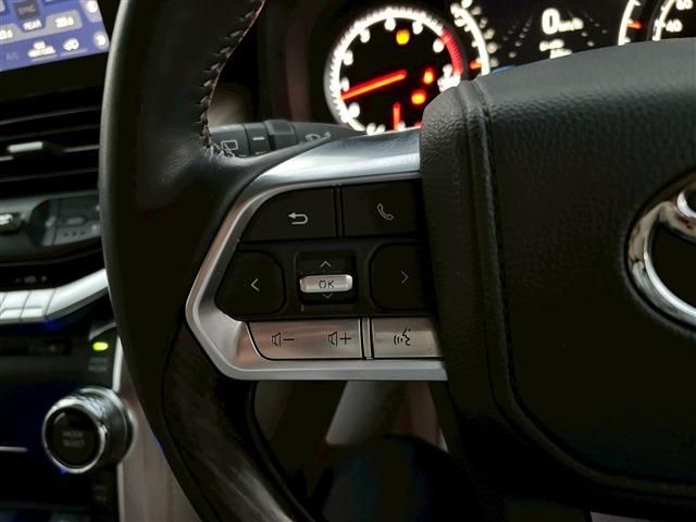 TOYOTA LANDCRUISER wagon 2024