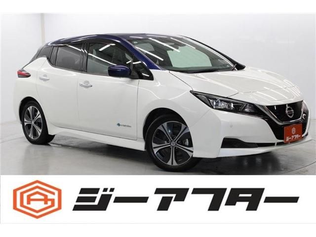 NISSAN LEAF 2017
