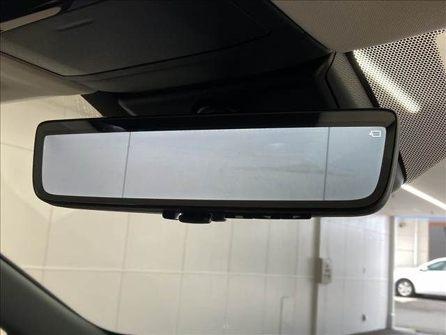 TOYOTA LEXUS RZ450e 2024