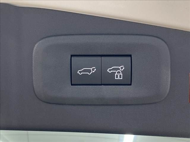 TOYOTA LEXUS RZ450e 2024