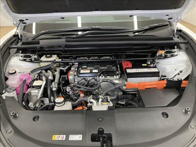 TOYOTA LEXUS RZ450e 2024