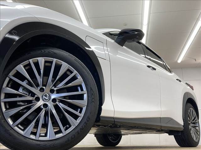 TOYOTA LEXUS RZ450e 2024