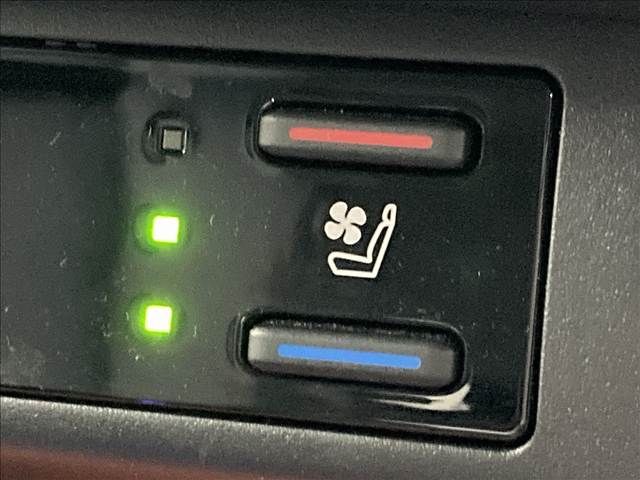 TOYOTA RAV4 4WD 2023