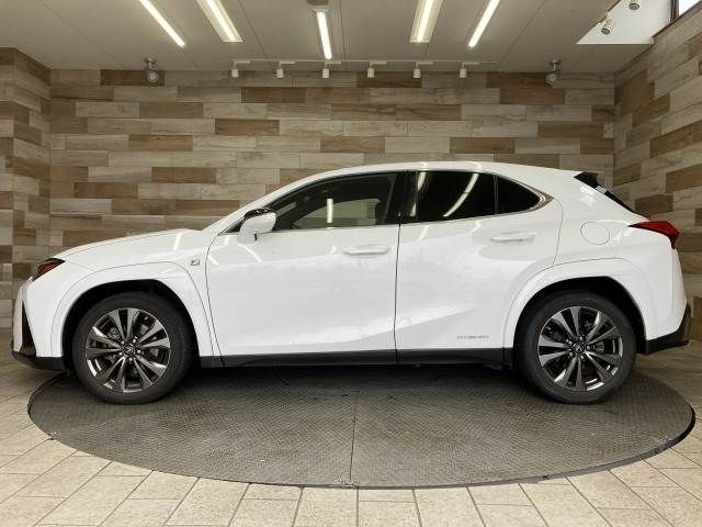 TOYOTA LEXUS UX250h 2019