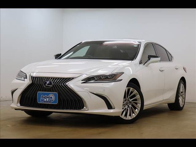 TOYOTA LEXUS ES300h 2019