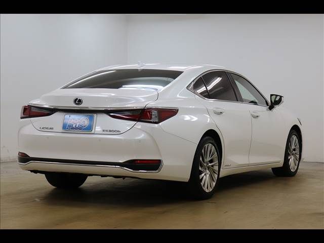 TOYOTA LEXUS ES300h 2019