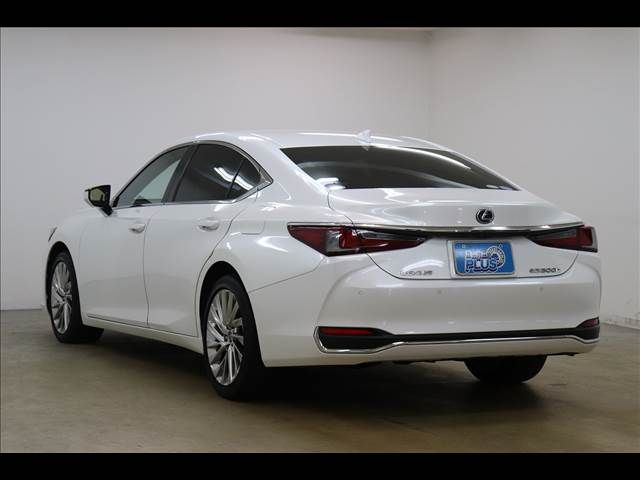 TOYOTA LEXUS ES300h 2019