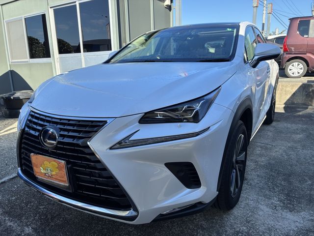 TOYOTA LEXUS NX300h AWD 2018