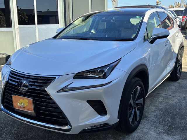 TOYOTA LEXUS NX300h AWD 2018