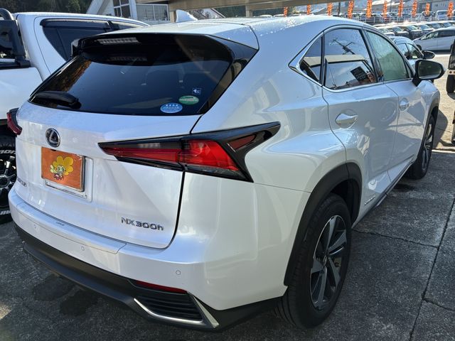 TOYOTA LEXUS NX300h AWD 2018