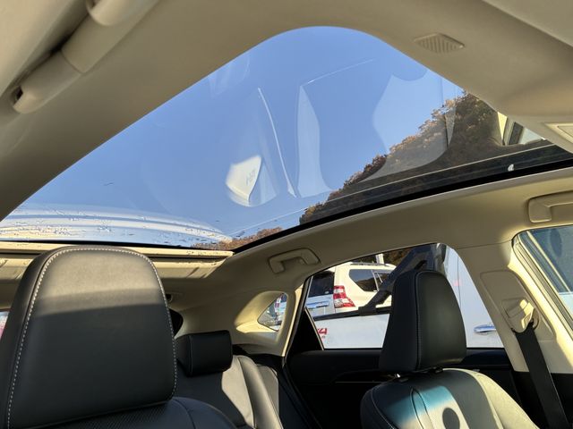 TOYOTA LEXUS NX300h AWD 2018