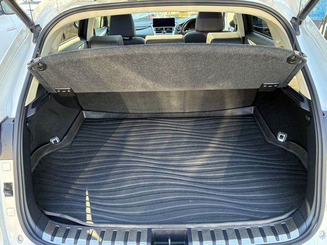 TOYOTA LEXUS NX300h AWD 2018