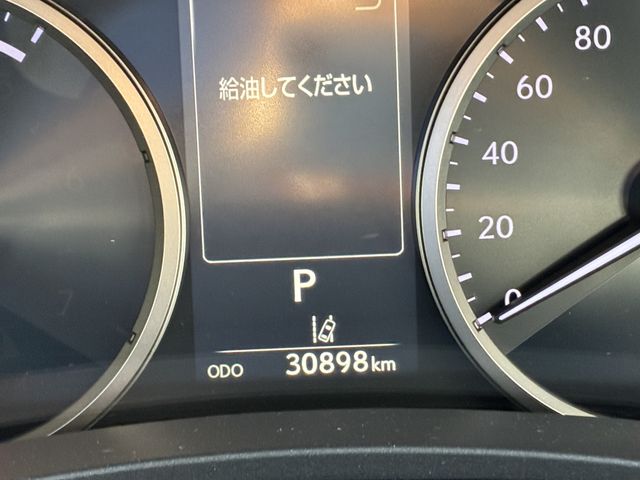 TOYOTA LEXUS NX300h AWD 2018