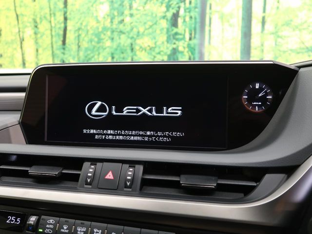 TOYOTA LEXUS ES300h 2019