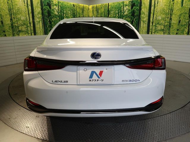 TOYOTA LEXUS ES300h 2019