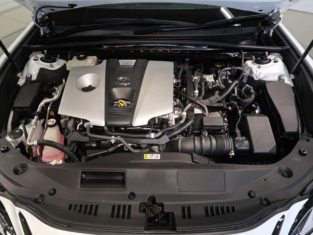 TOYOTA LEXUS ES300h 2019