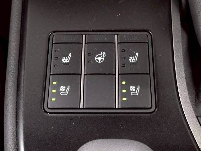 TOYOTA LEXUS UX250h 2023