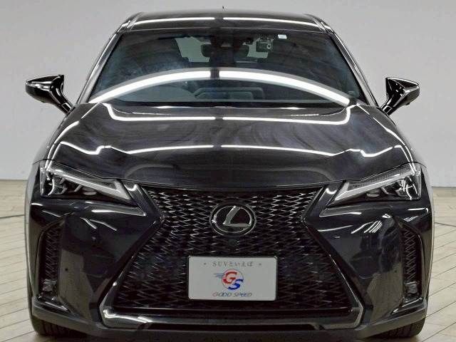 TOYOTA LEXUS UX250h 2023