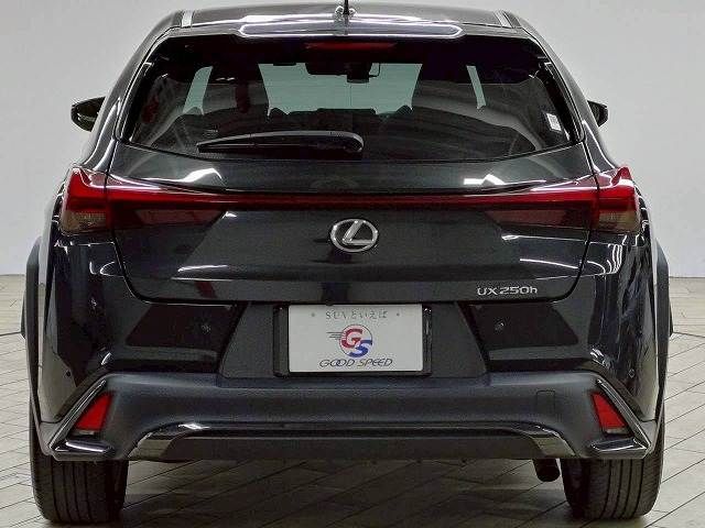 TOYOTA LEXUS UX250h 2023