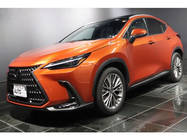 TOYOTA LEXUS NX350h AWD 2024