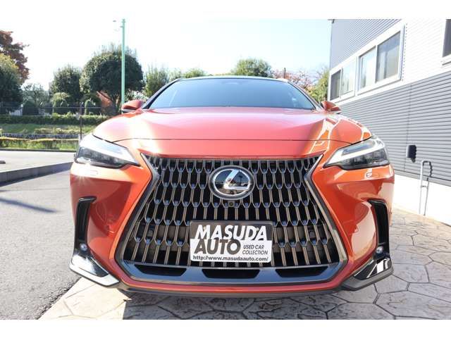 TOYOTA LEXUS NX350h AWD 2024