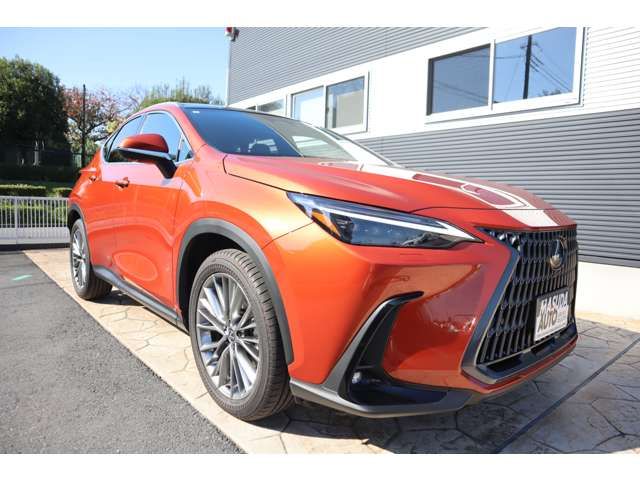 TOYOTA LEXUS NX350h AWD 2024