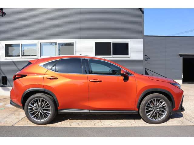 TOYOTA LEXUS NX350h AWD 2024