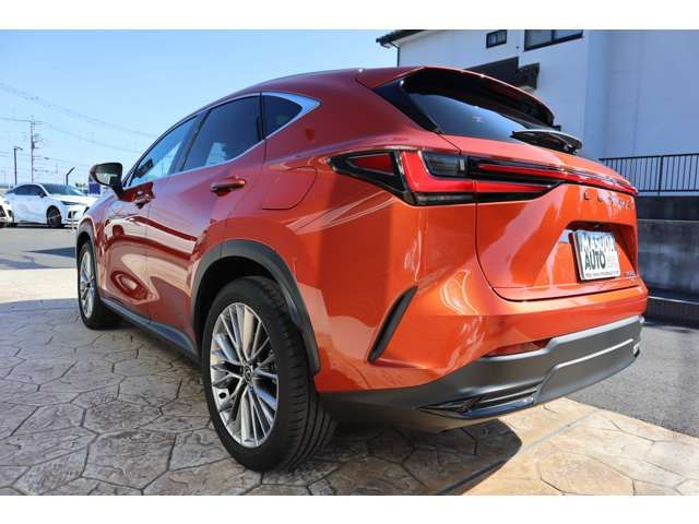 TOYOTA LEXUS NX350h AWD 2024