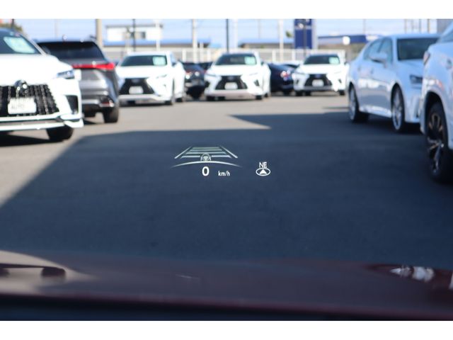 TOYOTA LEXUS NX350h AWD 2024