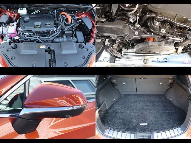 TOYOTA LEXUS NX350h AWD 2024