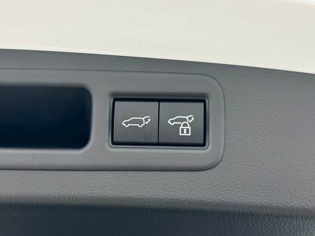 TOYOTA LEXUS RX500h 2023