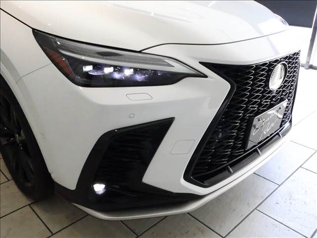 TOYOTA LEXUS NX350h 2023