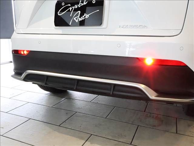 TOYOTA LEXUS NX350h 2023