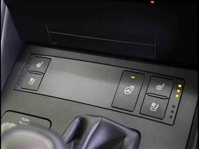 TOYOTA LEXUS IS300h 2022