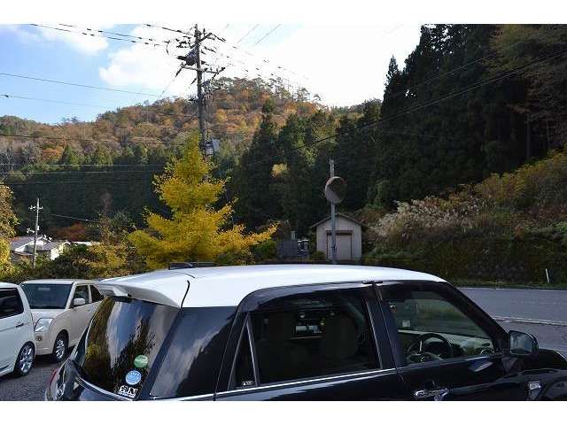 DAIHATSU CAST STYLE 2015