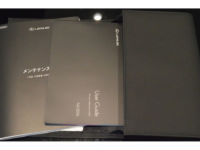 TOYOTA LEXUS NX350h 2022