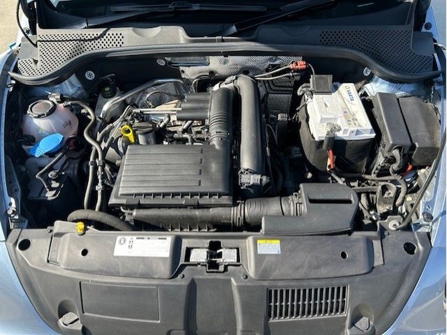 VOLKSWAGEN VOLKSWAGEN The BEETLE 2018