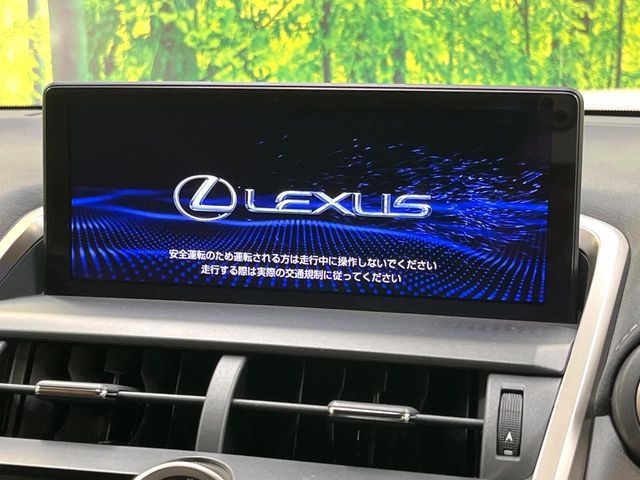 TOYOTA LEXUS NX300 AWD 2019