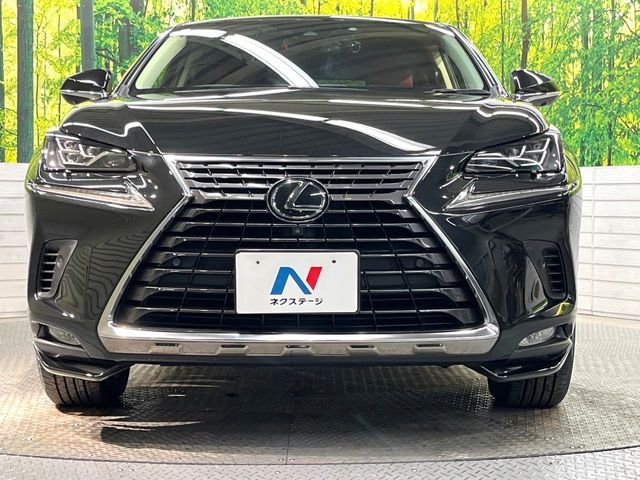 TOYOTA LEXUS NX300 AWD 2019