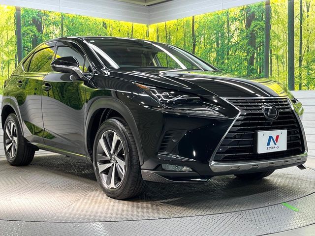 TOYOTA LEXUS NX300 AWD 2019