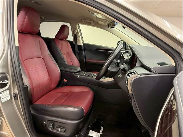 TOYOTA LEXUS NX300h 2018